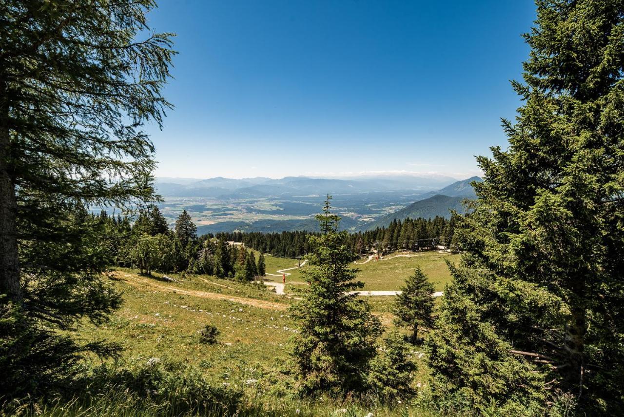 Apartments Zvoh, Krvavec, Ski-In, Ski-Out 戈雷尼斯卡地区采尔克列 外观 照片