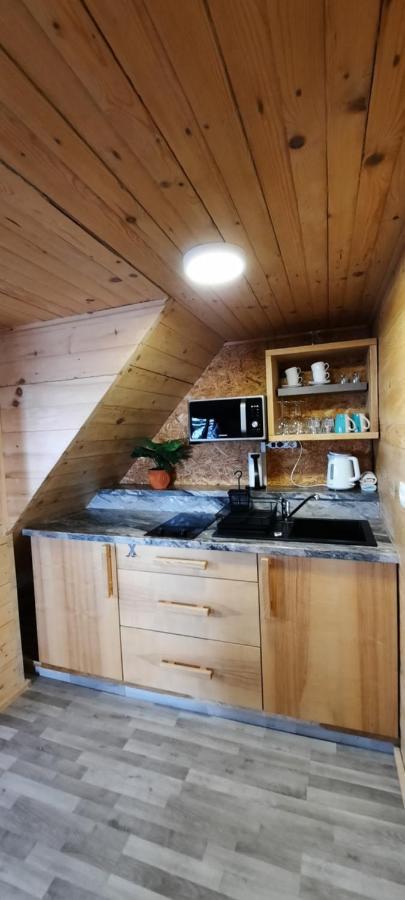 Apartments Zvoh, Krvavec, Ski-In, Ski-Out 戈雷尼斯卡地区采尔克列 外观 照片